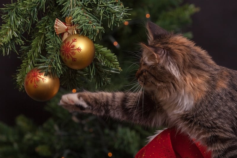 Playful Ornaments