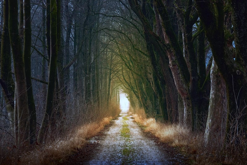 Fairy Tale Arch Example 1